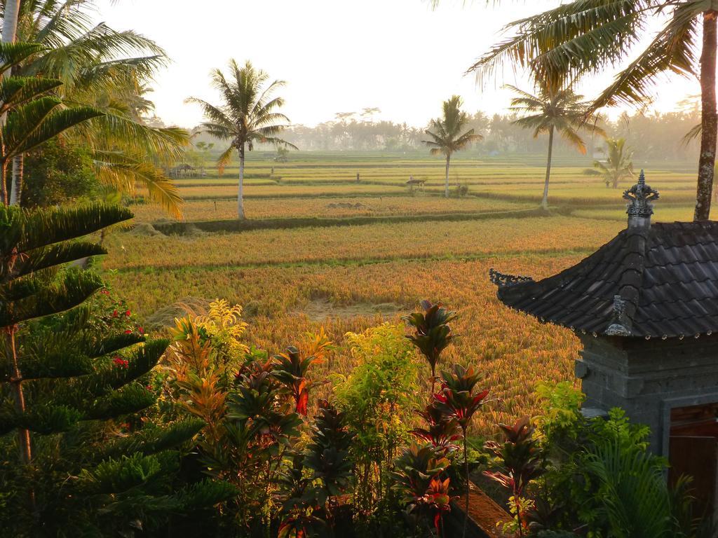 Villa Agung Khalia Ubud Esterno foto